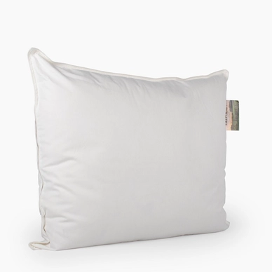 Oreiller Eastlands Saasveld