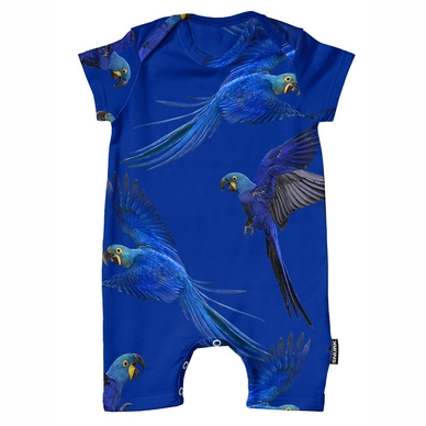 Combishort SNURK Bébé Blue Parrot