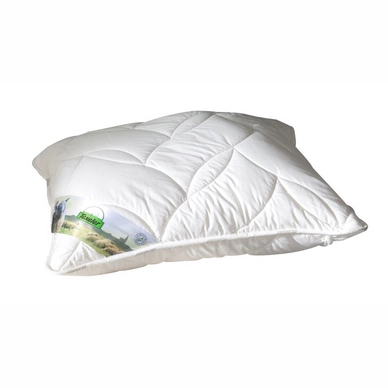 Oreiller Texeler Soezz Perfection DeLuxe