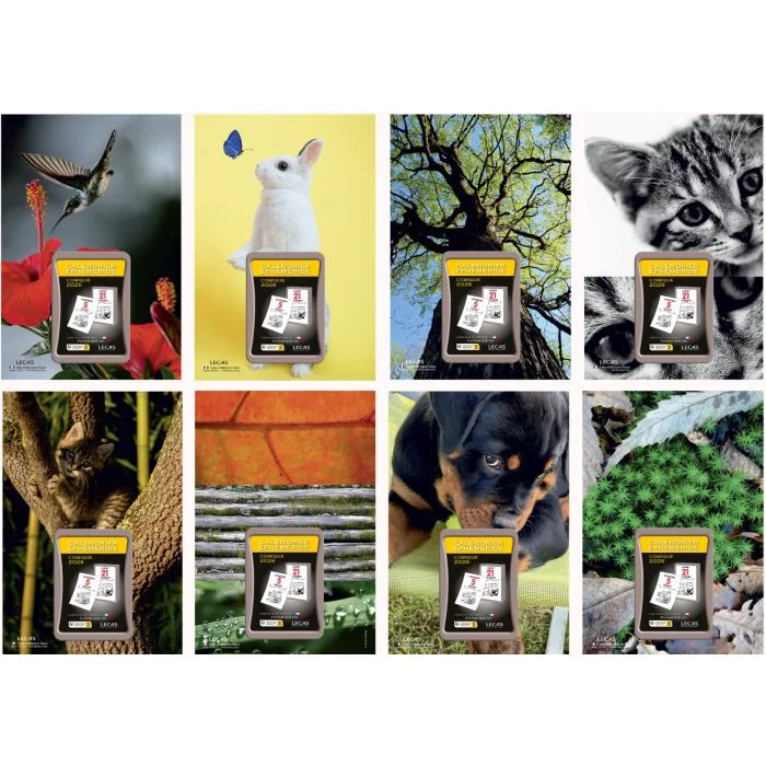 Bloc éphéméride 2026 - Nature - 60 x 90 mm Calendrier LECAS