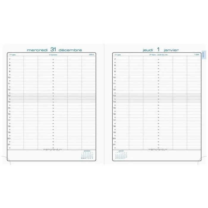 Agenda Journalier 2026 - 225 x 180 mm EXACOMPTA La journée planifiée 22