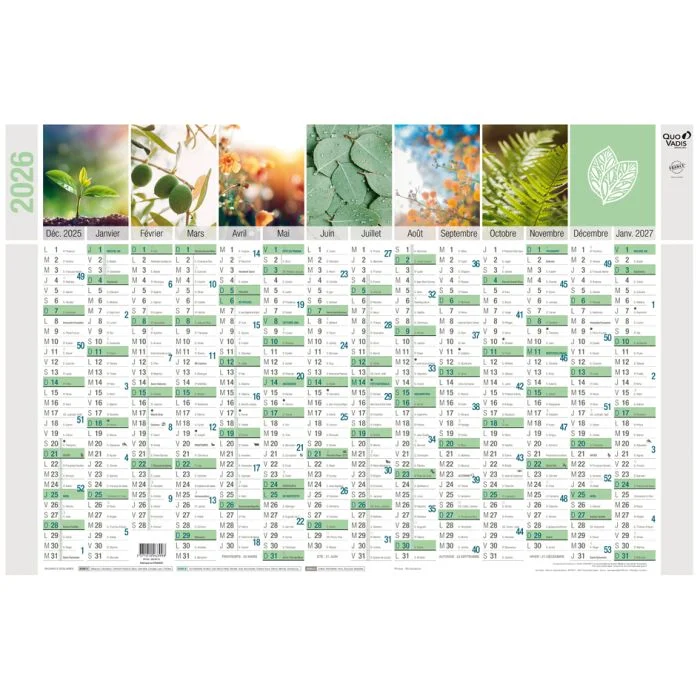 Calendrier 2026 - Equology - 650 x 430 mm QUO VADIS