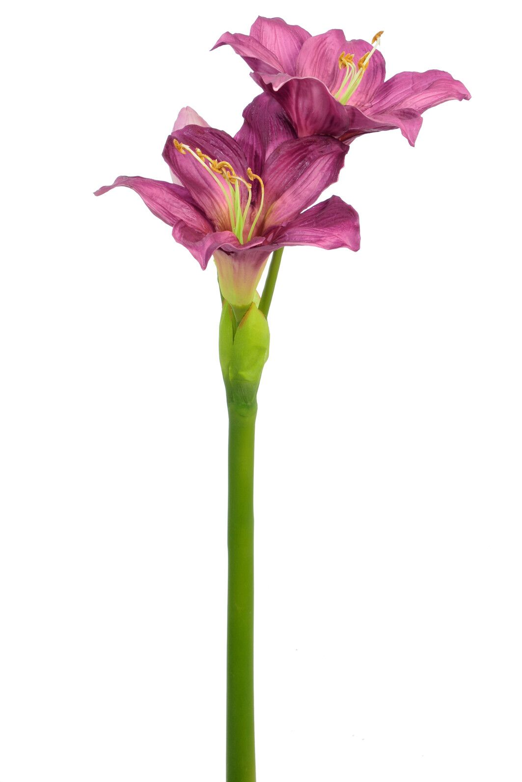 Amaryllis plastique violet 86 cm