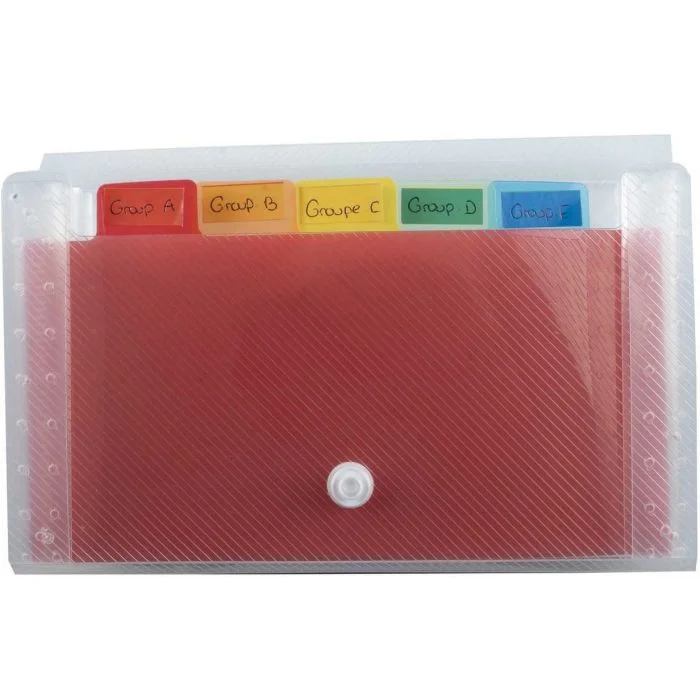 Trieur 6 compartiments - 180 x 110 mm - Blanc translucide EXACOMPTA Crystal