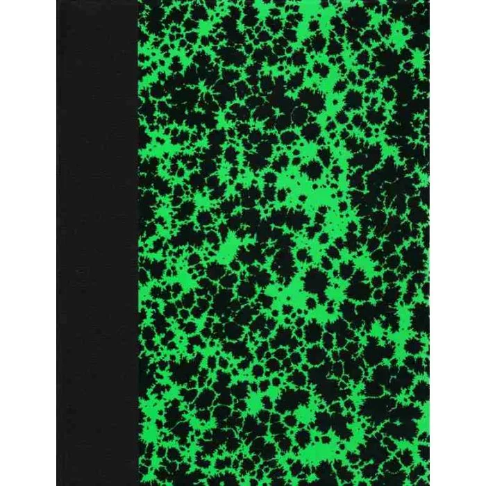 Registre - Journal 200 pages - 360 x 230 mm ELVE