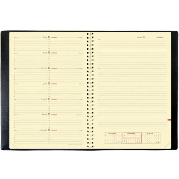 Agenda de bureau 2026 - 210 x 297 mm QUO VADIS Notes 29 S