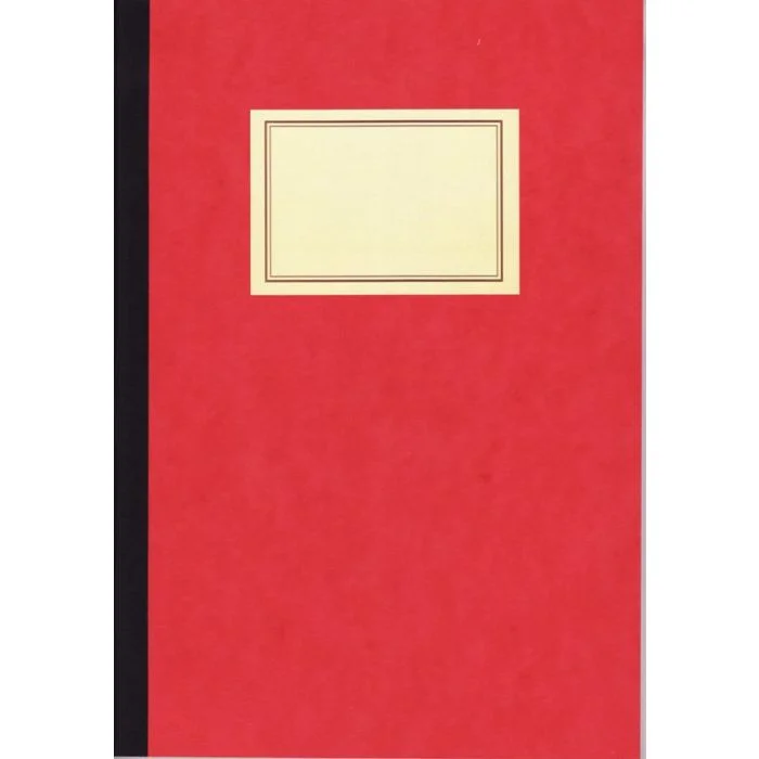 Registre de 100 pages - 18 colonnes doubles sur 2 pages - 320 x 250 mm ELVE