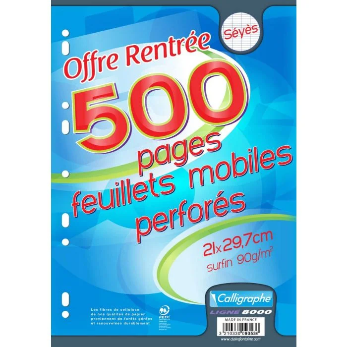 500 Feuilles mobiles Grands Carreaux 21 x 29,7 cm CALLIGRAPHE