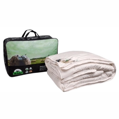 Couette 4 Saisons Texeler Bovenste Beste