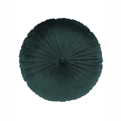 Coussin Décoratif Essenza Naina Green (40 cm)