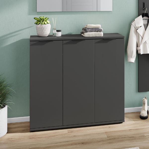 Armoire à chaussures Willian | 113 x 37 x 108 cm | Couleur anthracite