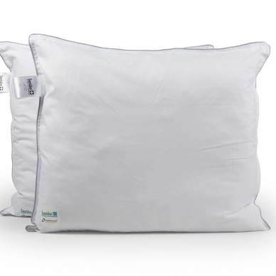 Oreiller Sanidor Health Guard (2-Pièces)