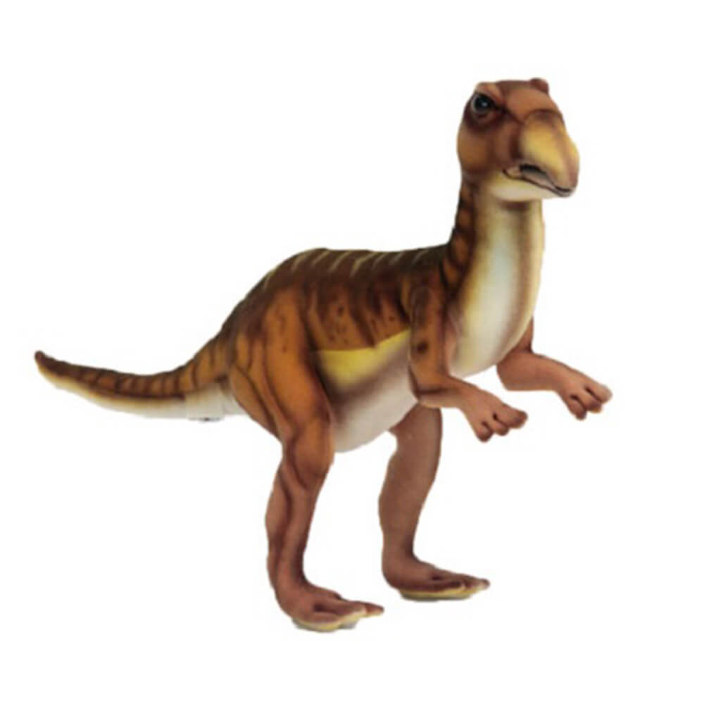 Leallyn Lizard (38 cm L)