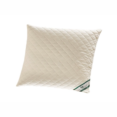 Oreiller Frankenstolz Derby Laine