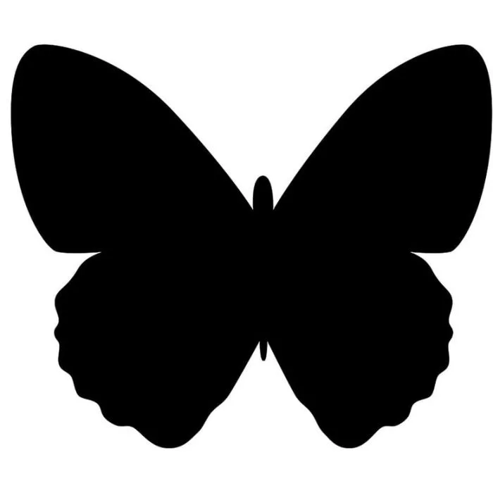 Tableau noir décoratif - Ardoise 300 x 360 mm Papillon SECURIT Silhouette