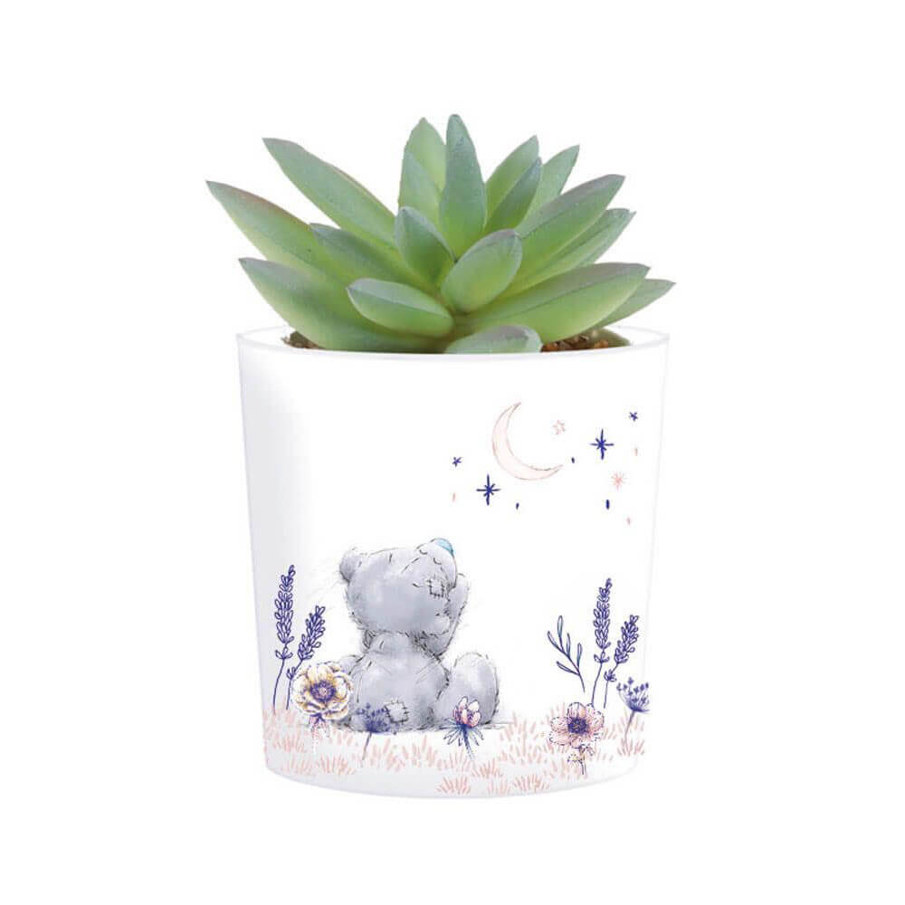 Moi à toi artificiel succulent