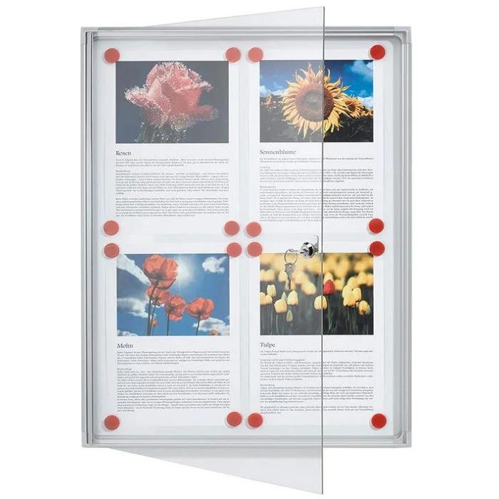 Vitrine Intérieur plate 4 feuilles A4 - 510 x 680 mm FRANKEN X-tra.Line