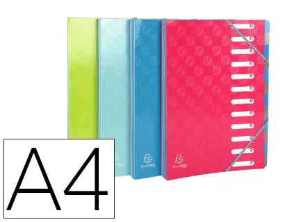 Trieur exacompta harmonika 12 compartiments carte lustree extensible 24,5x32cm assortiment bleu framboise