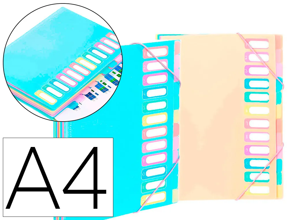 Trieur viquel rainbow pastel 12 compartiments polypropylene A4 25.5x32cm coloris bleu nude