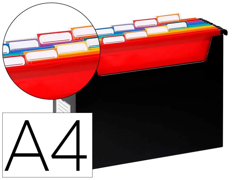 Boite easycase rainbow class 8 dossiers suspenduspolypropylene A4 32,8x24x12cm coloris noir
