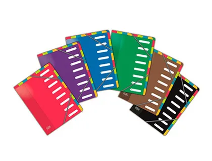 Trieur oxford carte forte 5/10e 245x320mm 8 positions feuillets carte multicolore onglets encochés coloris assortis
