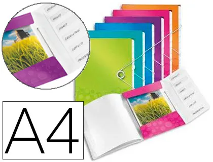 Trieur leitz wow polypropylène A4 6 compartiments 3 rabats fermeture élastique coloris assortis