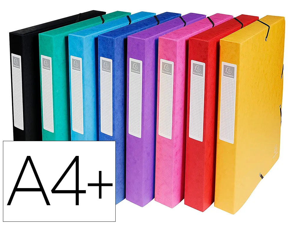 Boîte classement exacompta exabox carte lustrée 7/10e A4+ 25x33cm dos 6cm coloris assortis lot 8 unités