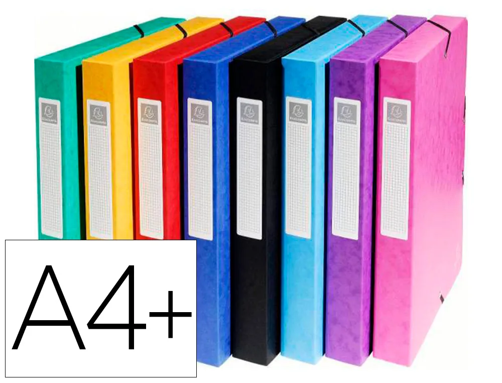 Boîte classement exacompta exabox carte lustrée 7/10e A4+ 25x33cm dos 4cm coloris assortis lot 8 unités
