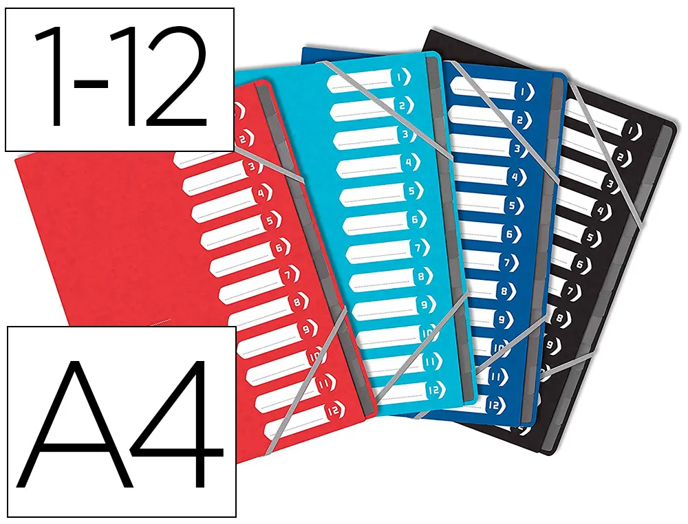 Trieur oxford top file+ agrafe carte multistrat resistante A4 12 positions numeriques ferm elas coloris
