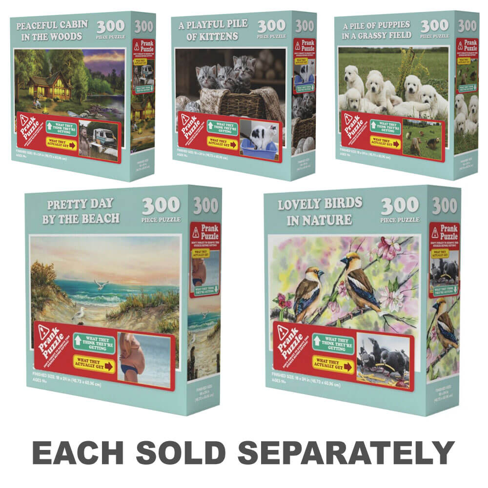 Faire des choses Prank Puzzle 300pcs