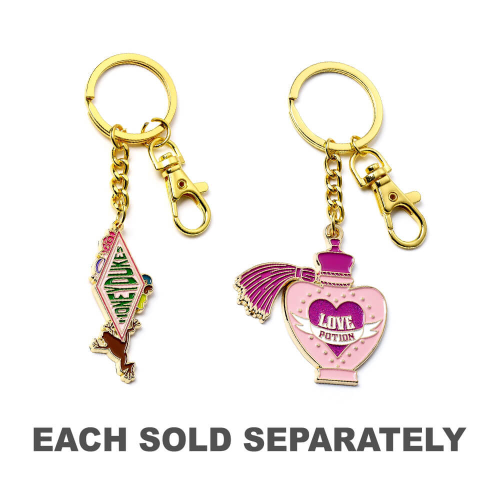 HARRY POTTER Keyring